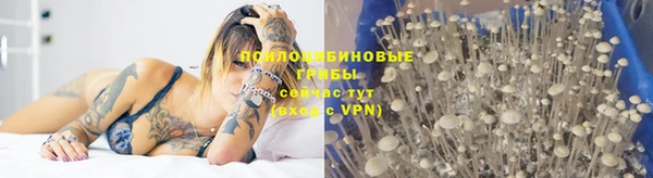 спайс Алексин