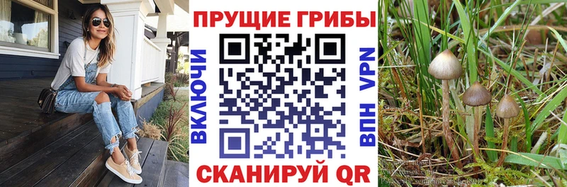 Псилоцибиновые грибы мицелий  кракен ONION  Касимов  продажа наркотиков 