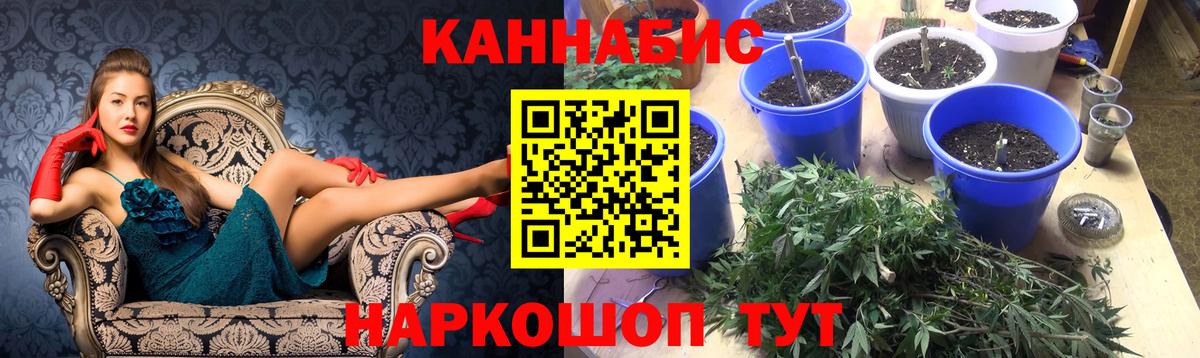 Конопля индика  Канабис гибрид  Каннабис ГИДРОПОН  Вход с VPN  Касимов 